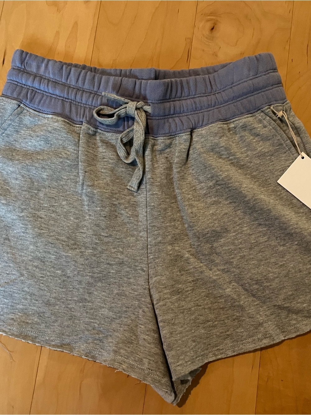 Splendid Gray Shorts with Purple Waistband